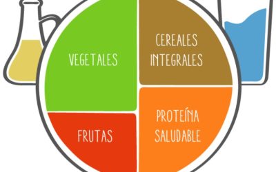 El plato de Harvard: ¿qué es? ¿en qué consiste?